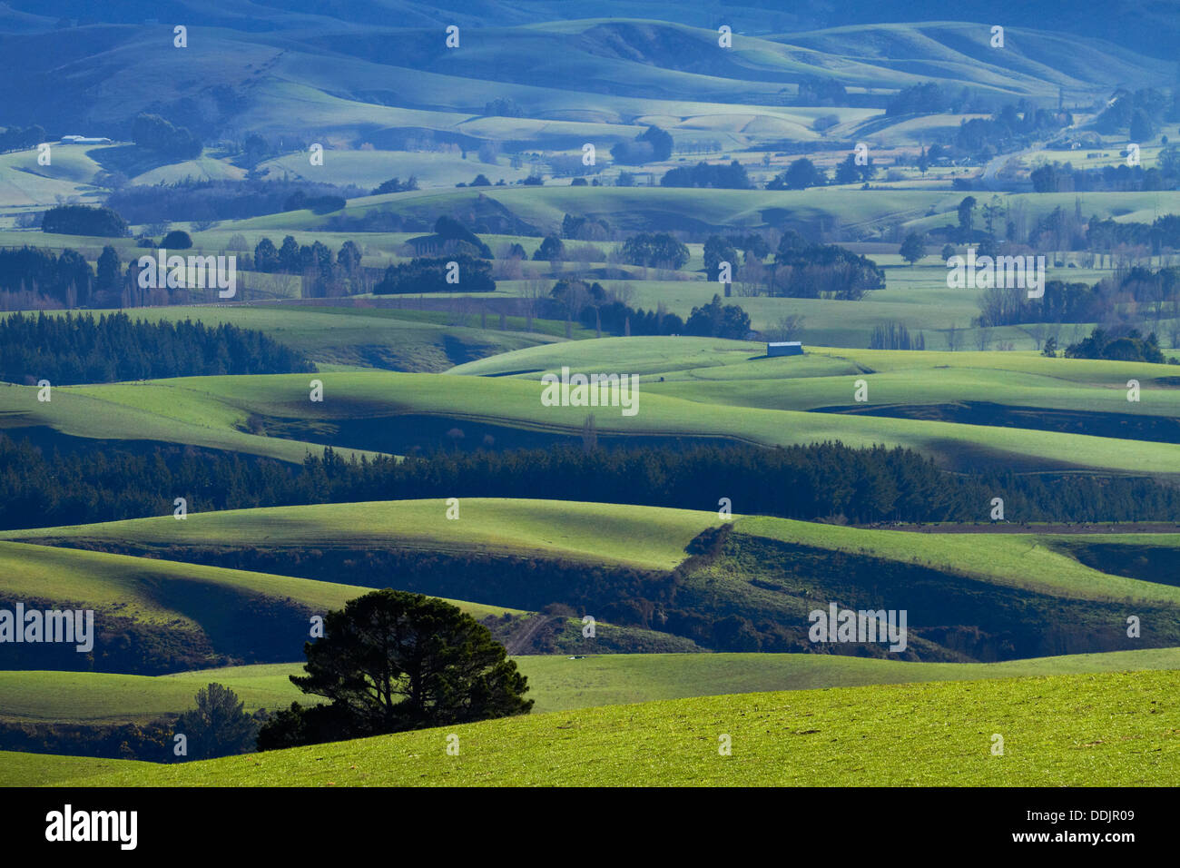 Farmland near Waitahuna, Otago, South Island, New Zealand Stock Photo