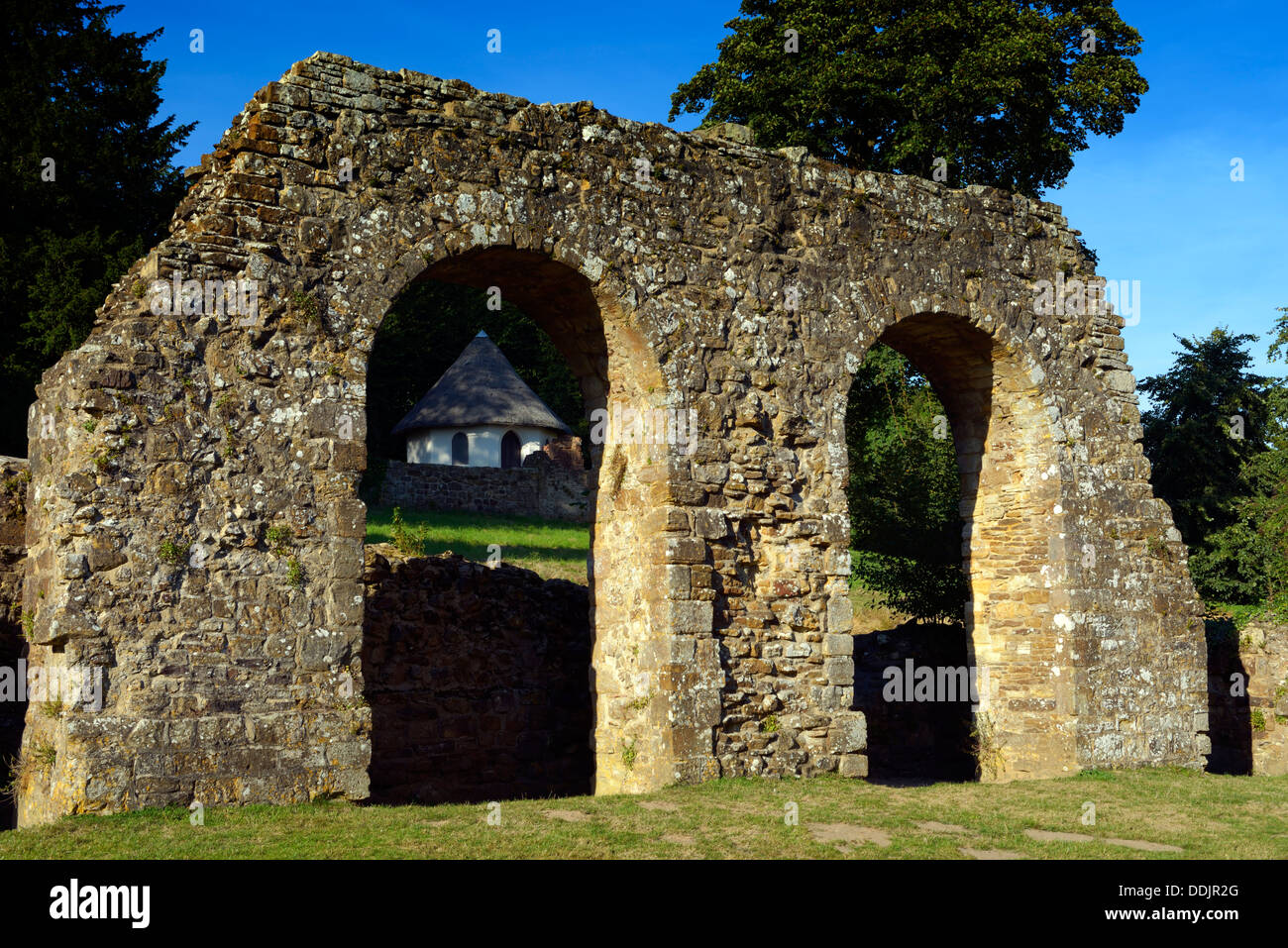 A section of the redorter (communal latrine) of the Monk's dormitory range, Battle Abbey, East Sussex, UK Stock Photo