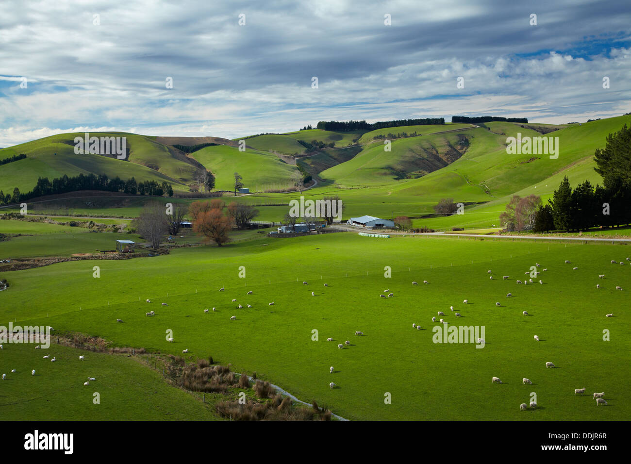 Farmland near Waitahuna, Otago, South Island, New Zealand Stock Photo