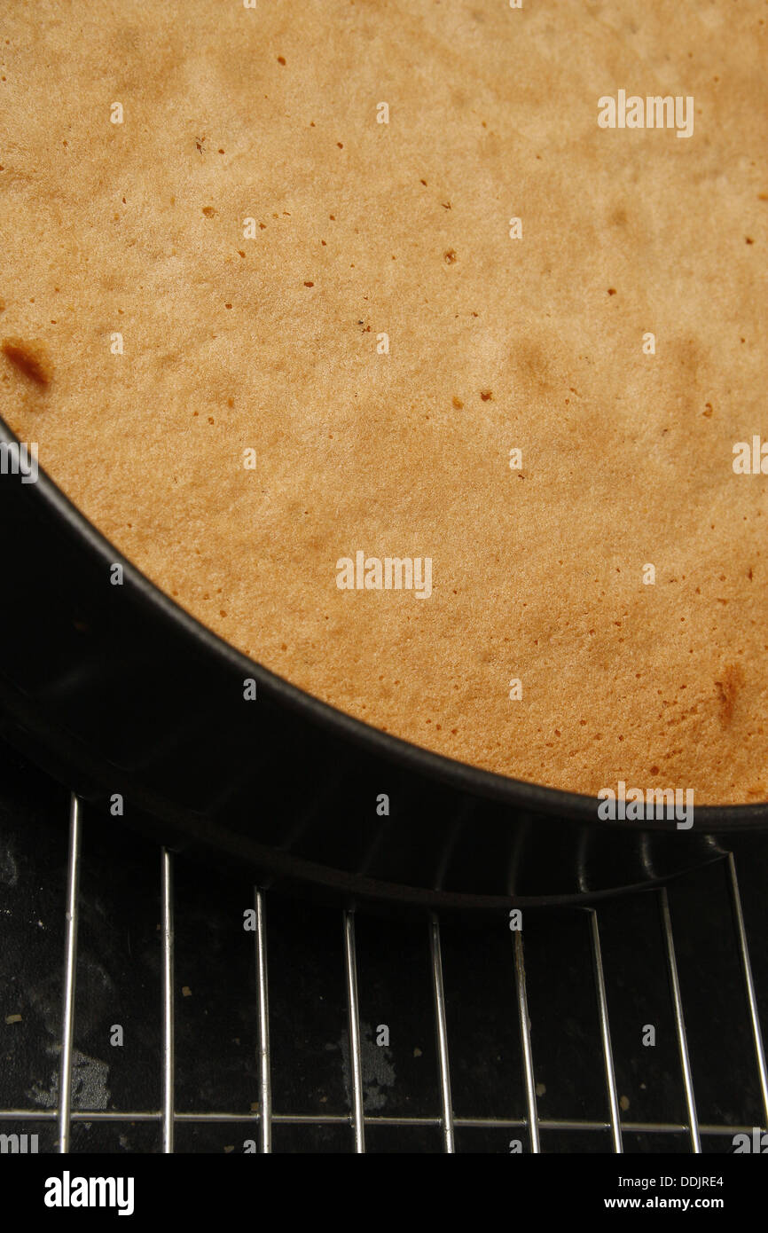 Sponge Cake Rack Sponge rack hi-res stock photography and images - Alamy