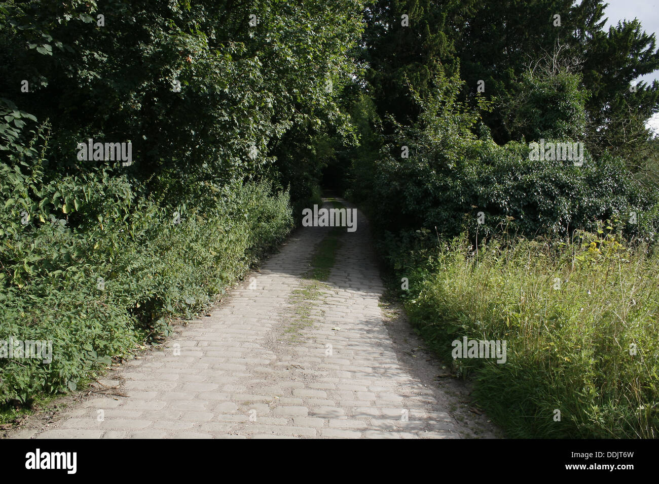 cliff path walk. Roche Abbey, Maltby, Rotherham, South Yorkshire Stock