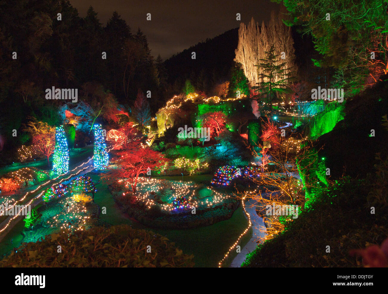 Brilliant Christmas lights illuminate the Sunken Garden at the