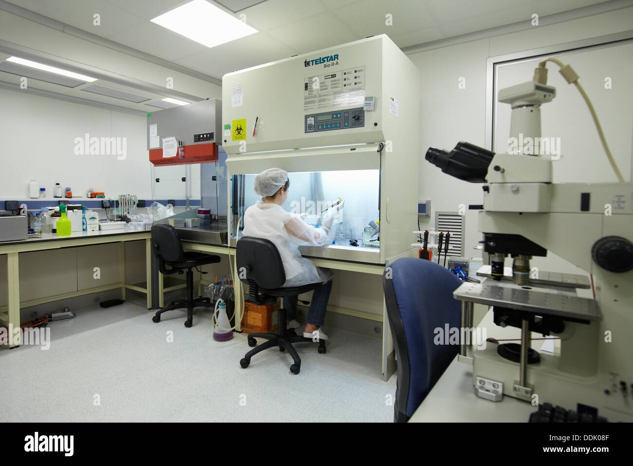 Researcher seeding mammalian cells in a cell culture room equipped with two  laminar flow hoods, two microscopes, a centrifuge Stock Photo - Alamy