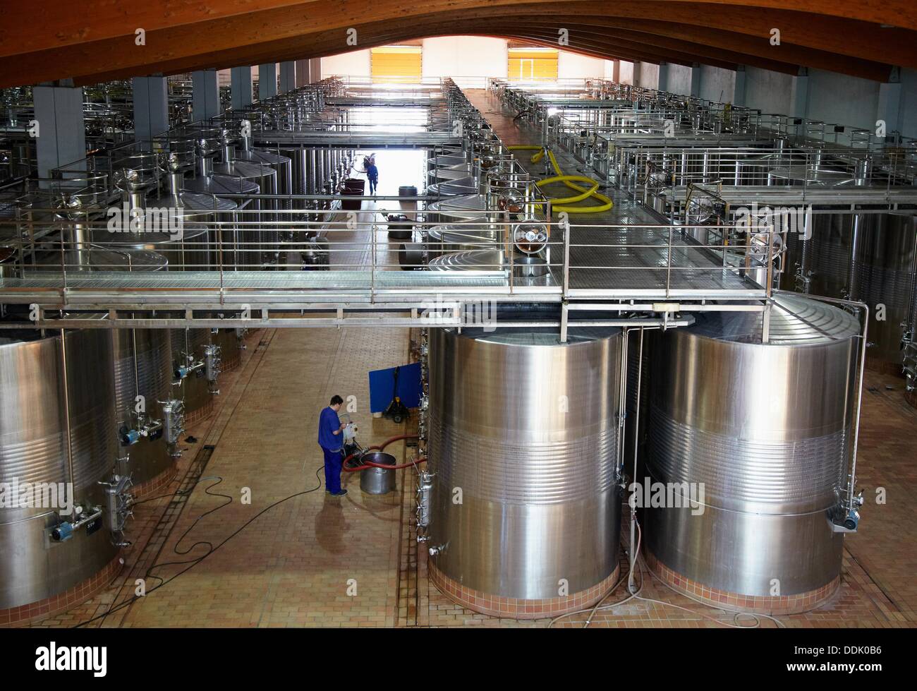 Barrels of wine making, Marques de Riscal winery, Elciego, Rioja