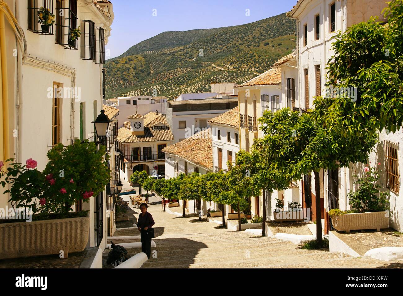 carcabuey-hi-res-stock-photography-and-images-alamy