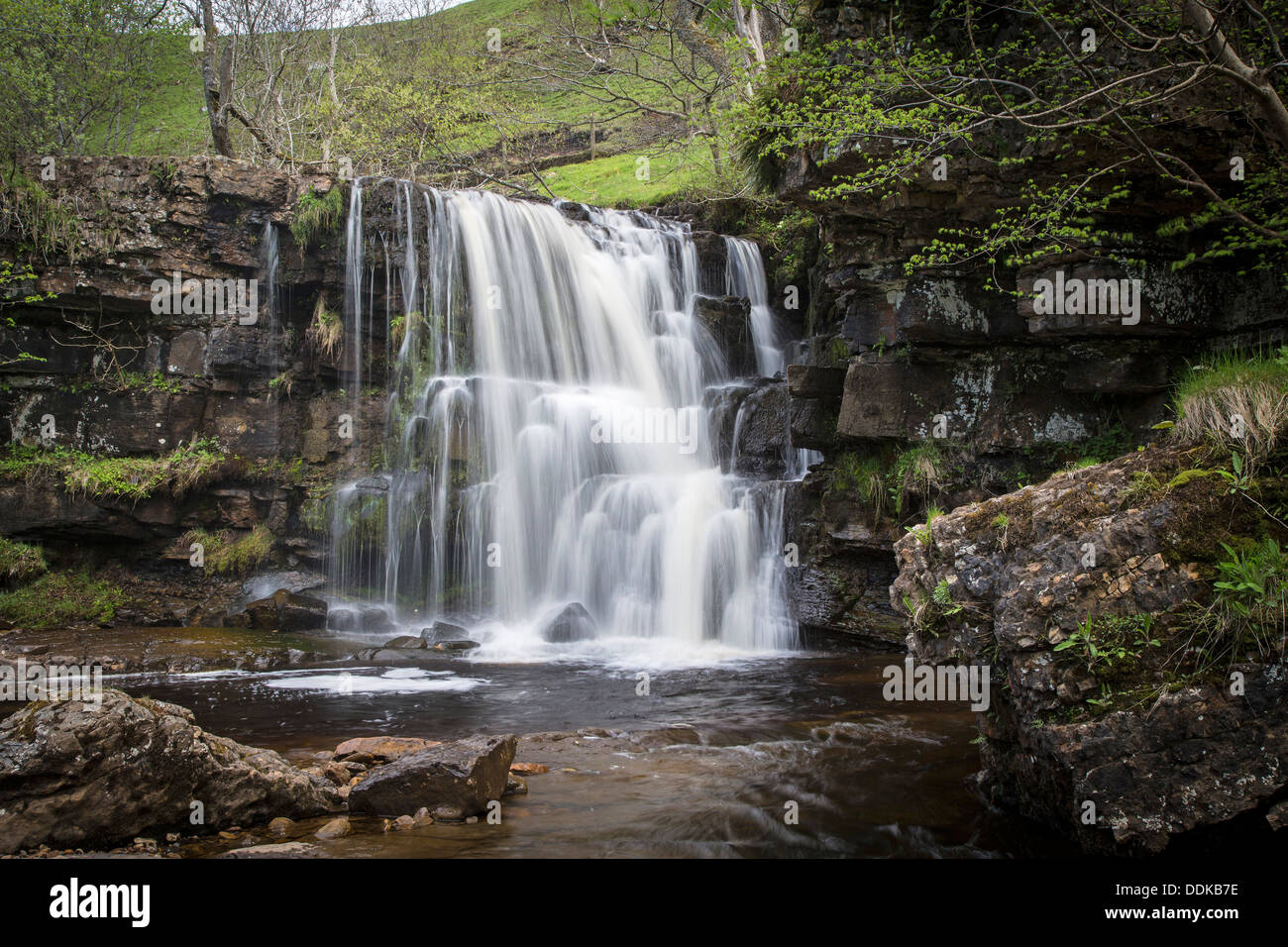 East Gill Force, East Stonesdale, Keld, Swaledale, Yorkshire Dales National Park Stock Photo