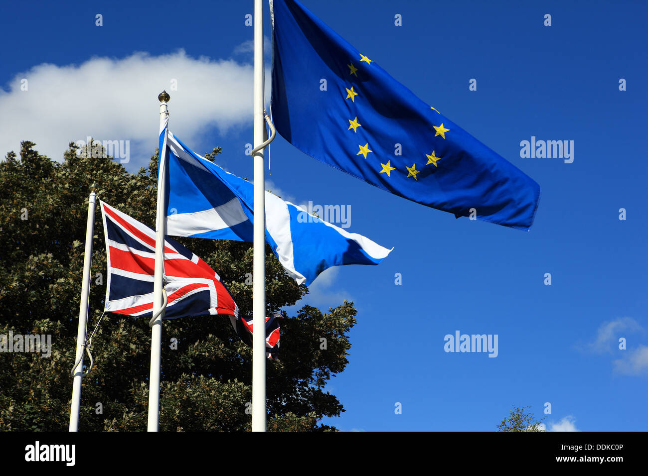 Scottish flags hires stock photography and images Alamy