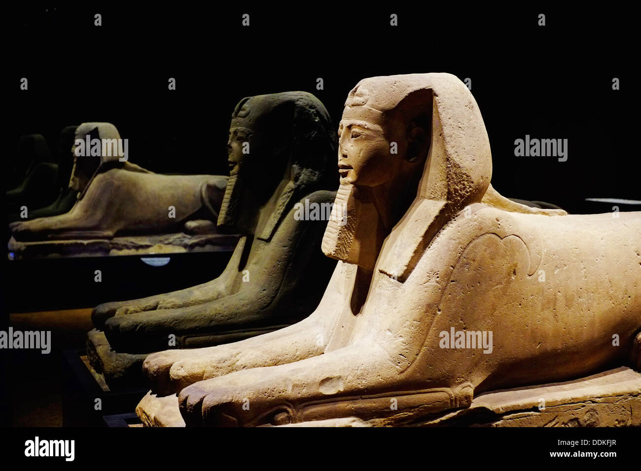 Italy, Piedmont, Turin, Egyptian museum, Sphinx statue from Karnak Stock Photo