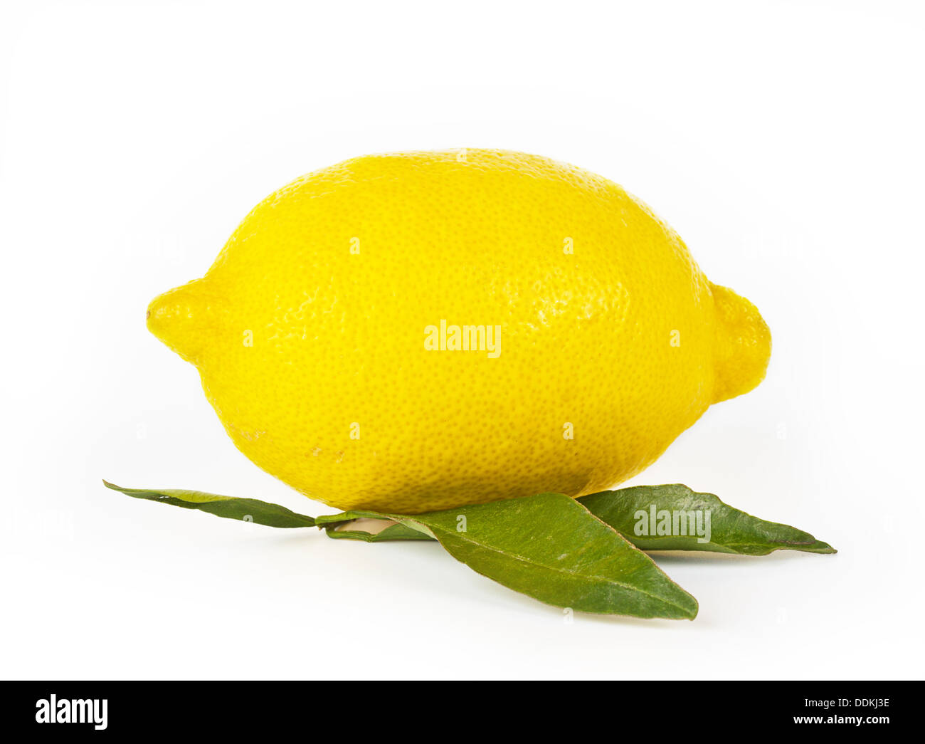 Fresh lemon fruit Stock Photo - Alamy