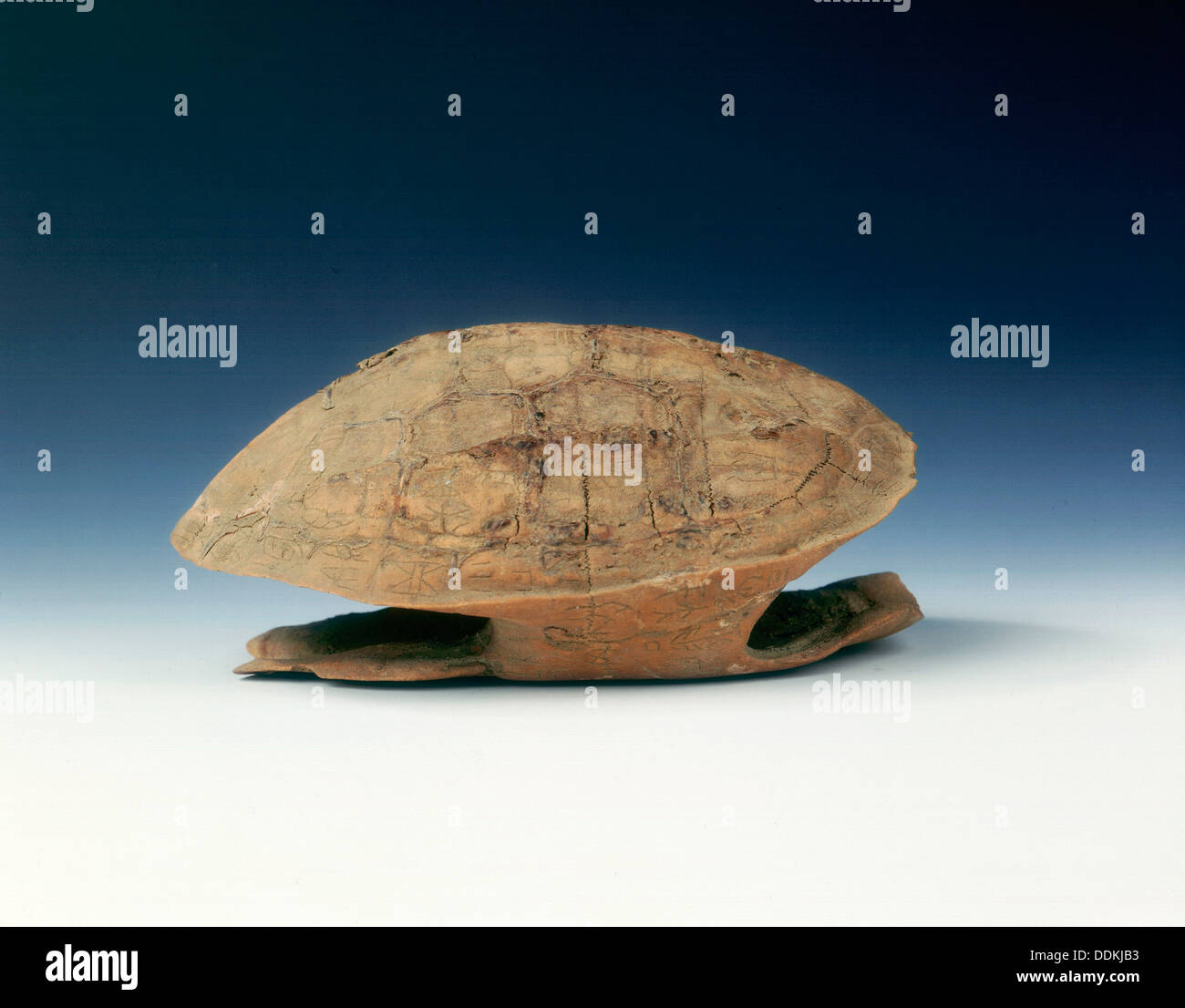 Petrified tortoise shell with oracle bone inscriptions, possibly Shang Dynasty, China, c1400 BC. Artist: Unknown Stock Photo