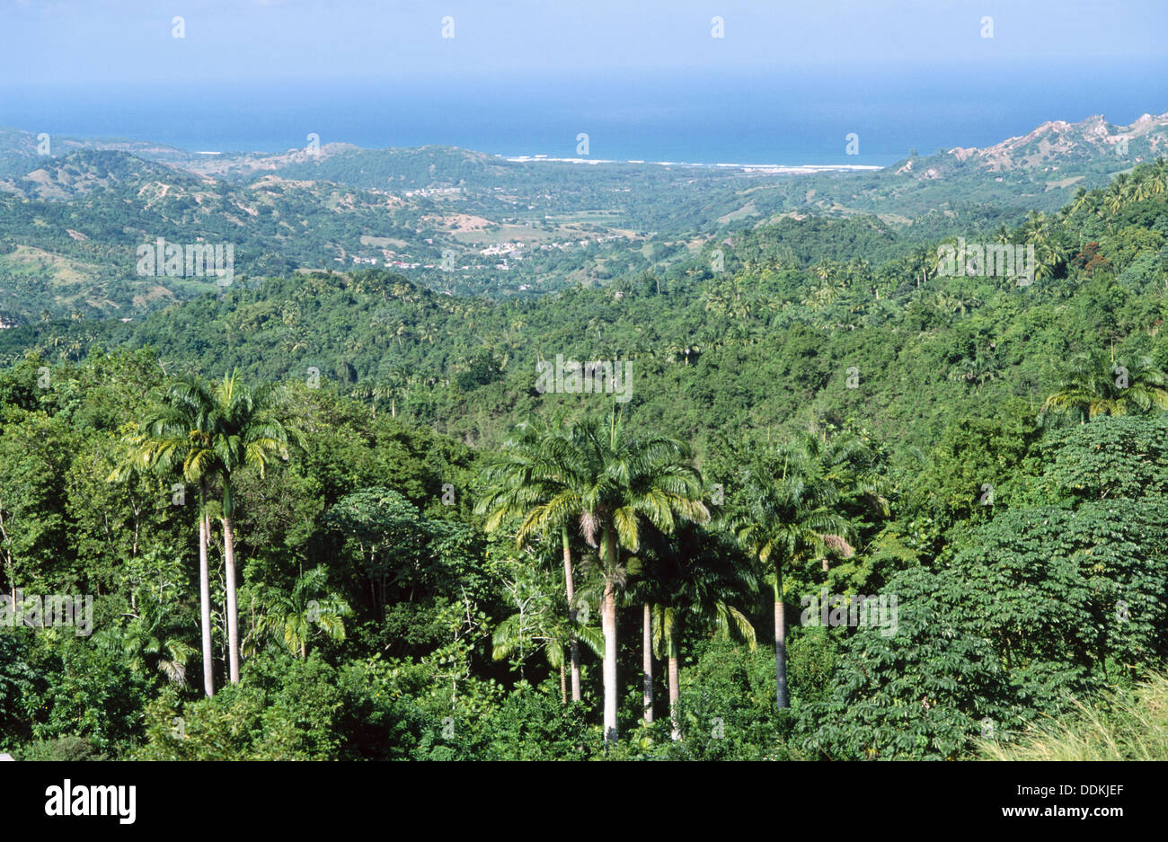 View of Saint Andrew administrative parish. Barbados Stock Photo