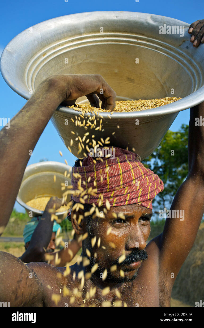 Tamil nadu farmers hi-res stock photography and images - Alamy