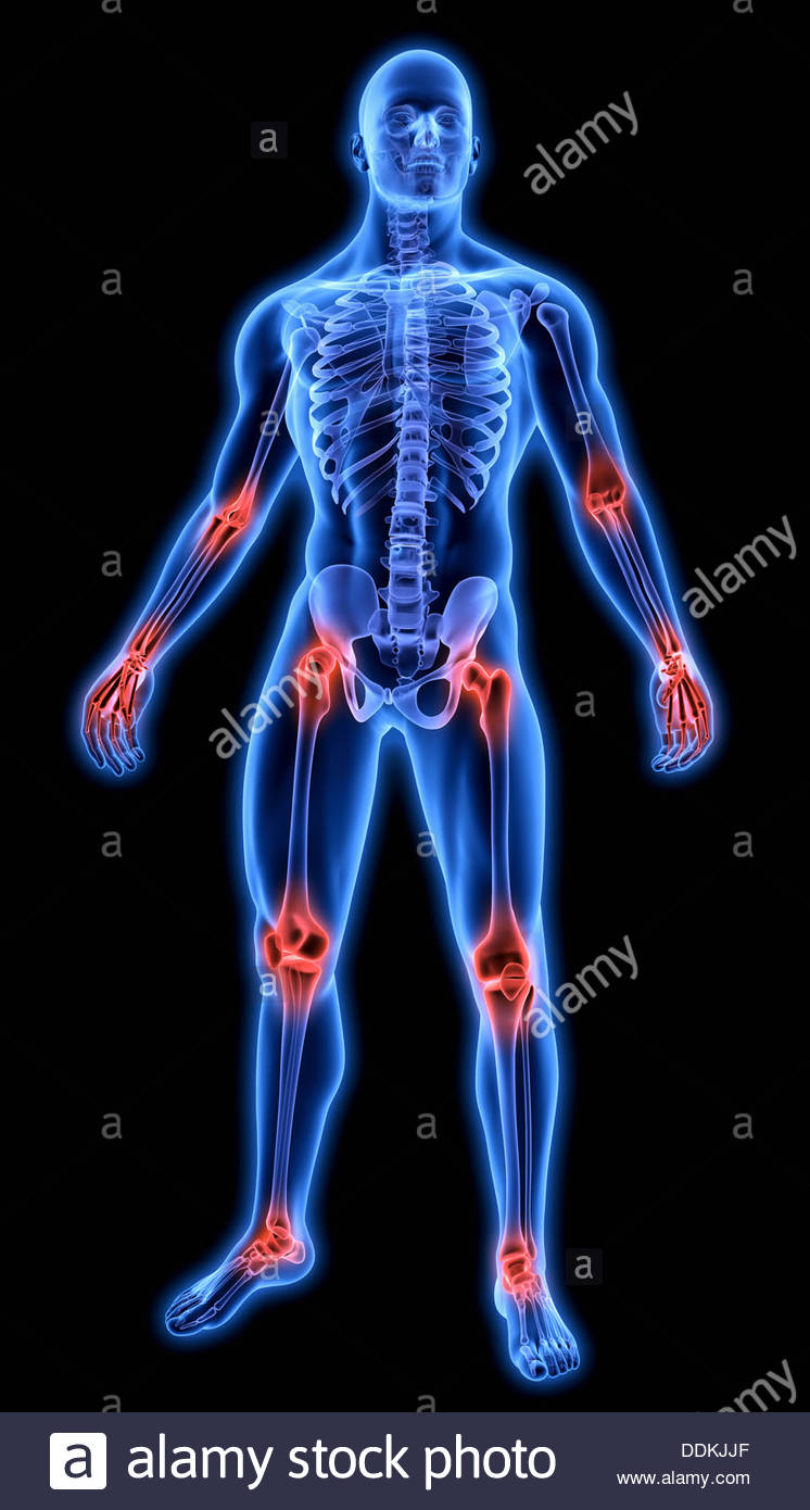 Human Body Joints Illustration Stock Photos & Human Body Joints ... Biology Diagrams