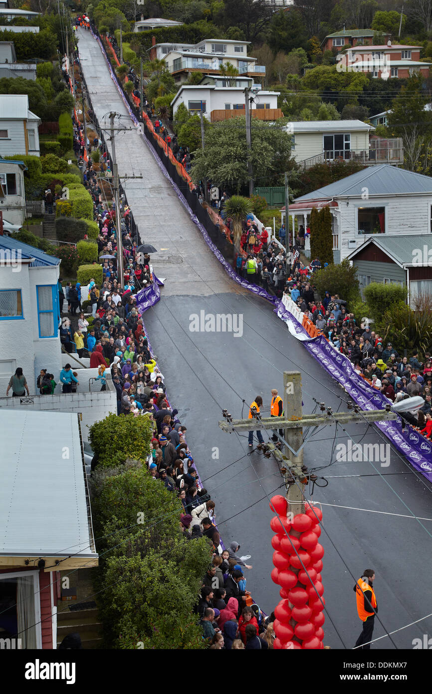 Annual Jaffa Race, Baldwin Street ( world's steepest street ), Dunedin, South Island, New Zealand Stock Photo