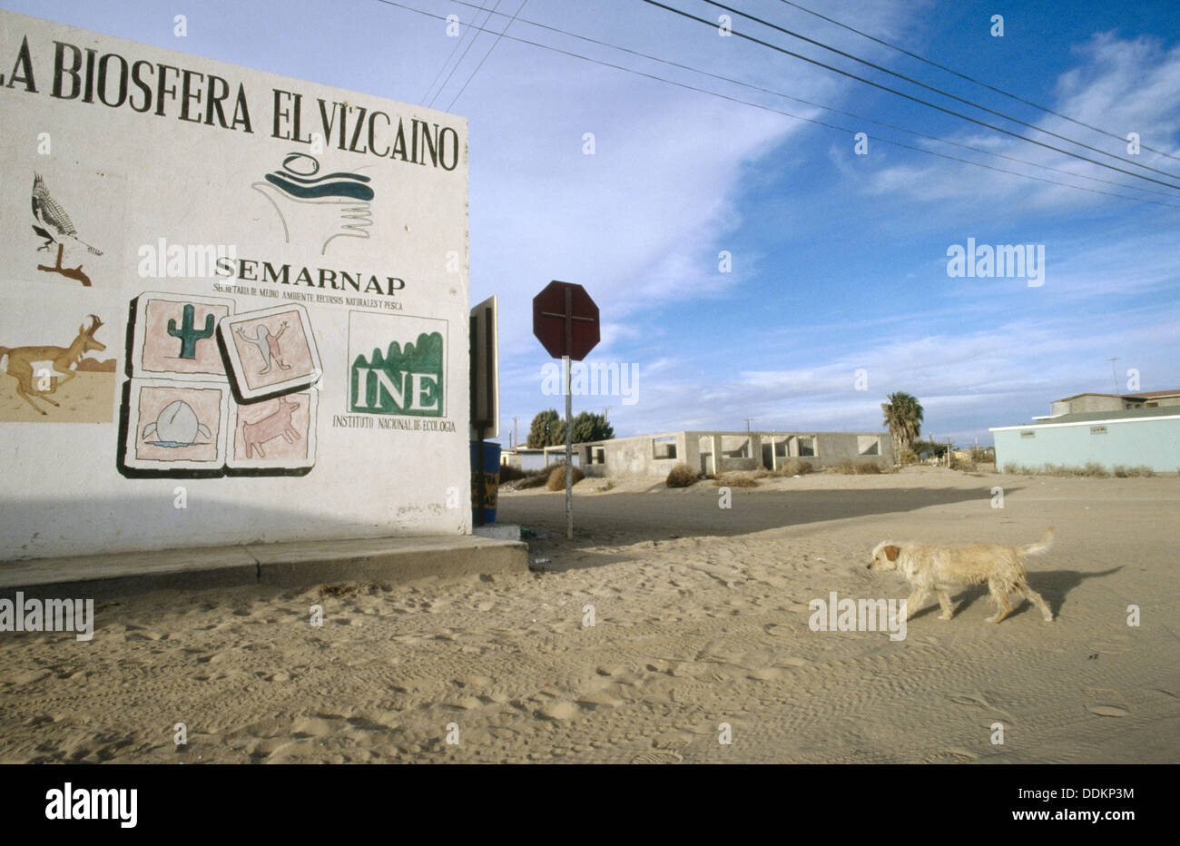 El vizcaíno biosphere reserve hi-res stock photography and images - Alamy