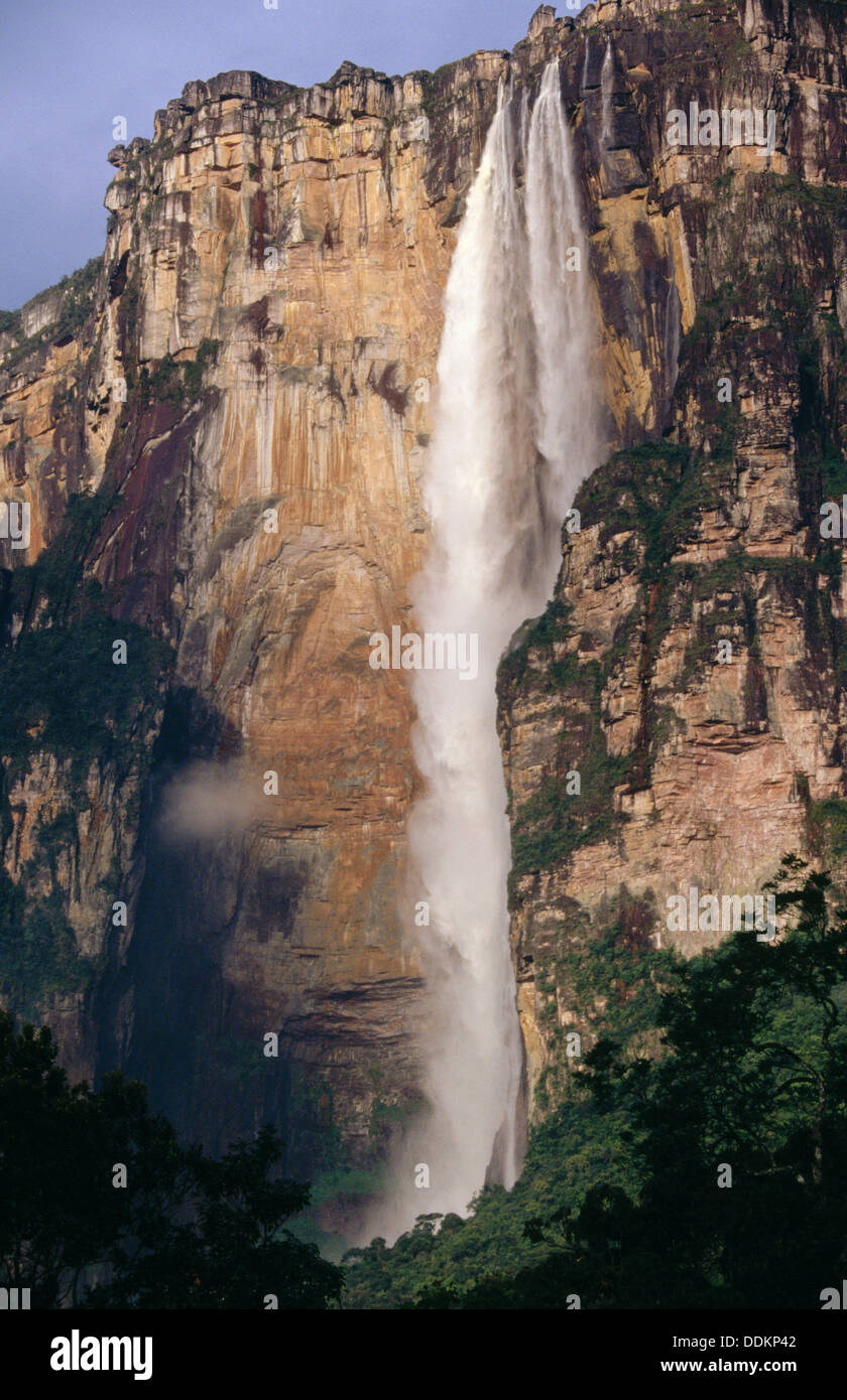 Angel Falls (aka Salto Ángel), Canaima National Park. Venezuela Stock Photo  - Alamy