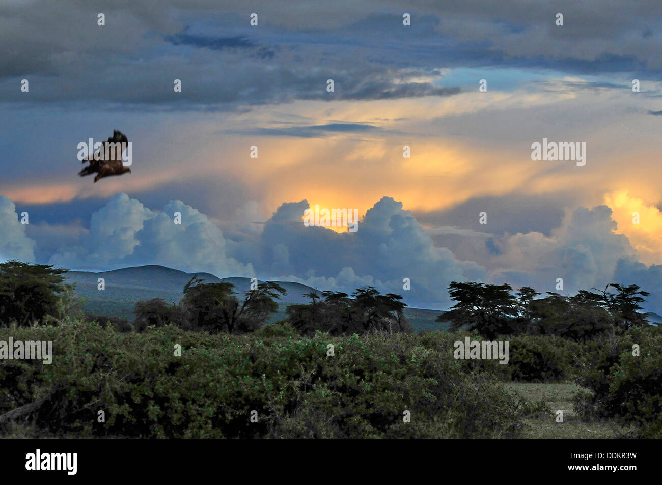 Storms in Africa Tanzania Collection Stock Photo