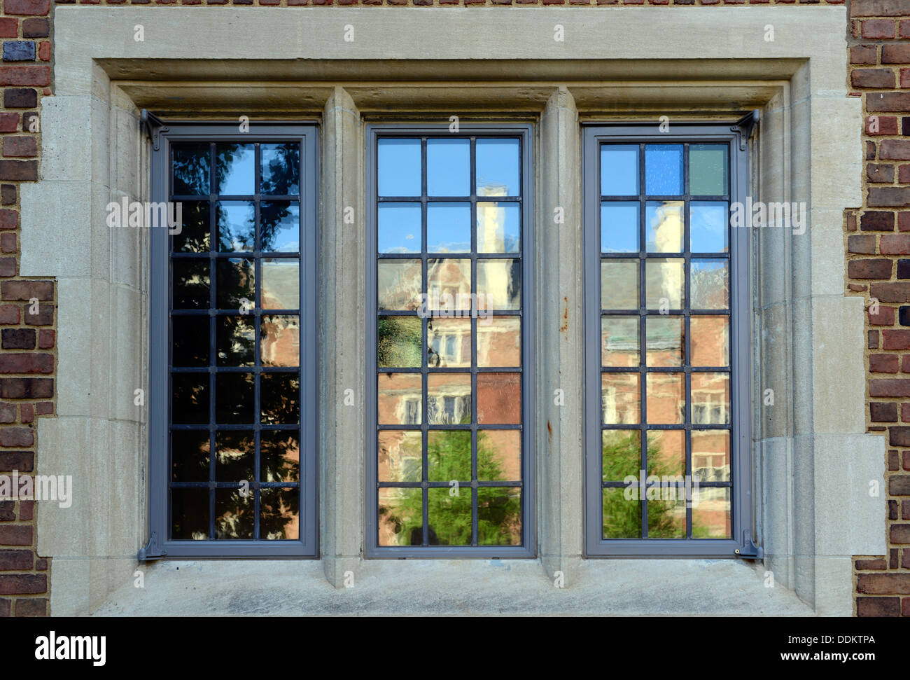 Renovated window, Calhoun Residential College, Yale University.  New double pane replacement windows designed to look old. Stock Photo