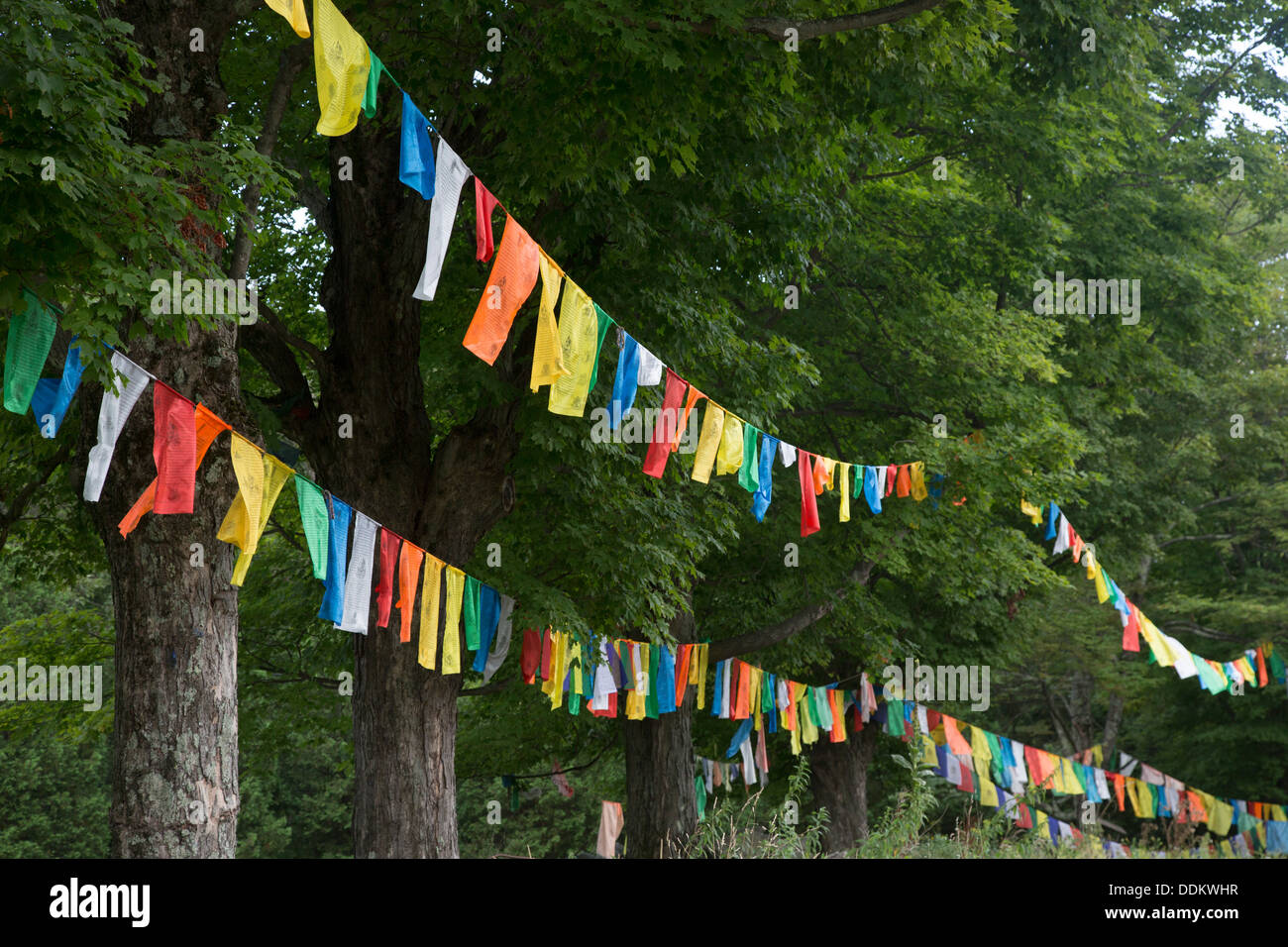 Prayer flags outside the Karma Triyana Dharmachakra, a Tibetan Buddhist monastery in the Catskill mountains. Stock Photo