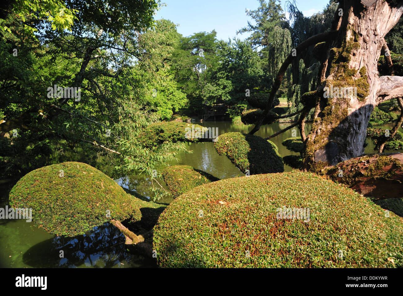 japanese gardens Stock Photo