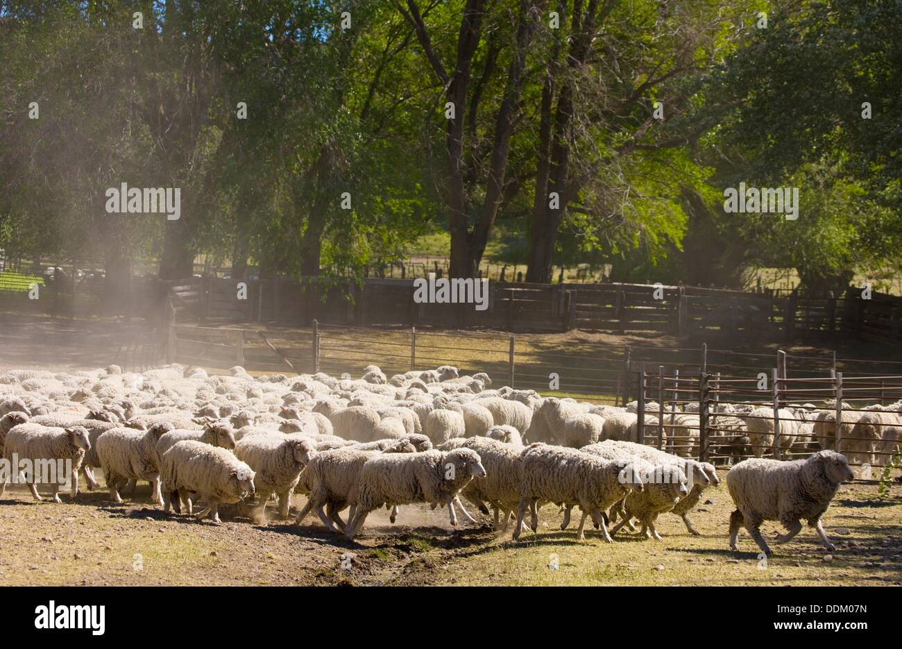 Estancia Patagonica. Camarones. Patagonia. Argentina Stock Photo Alamy