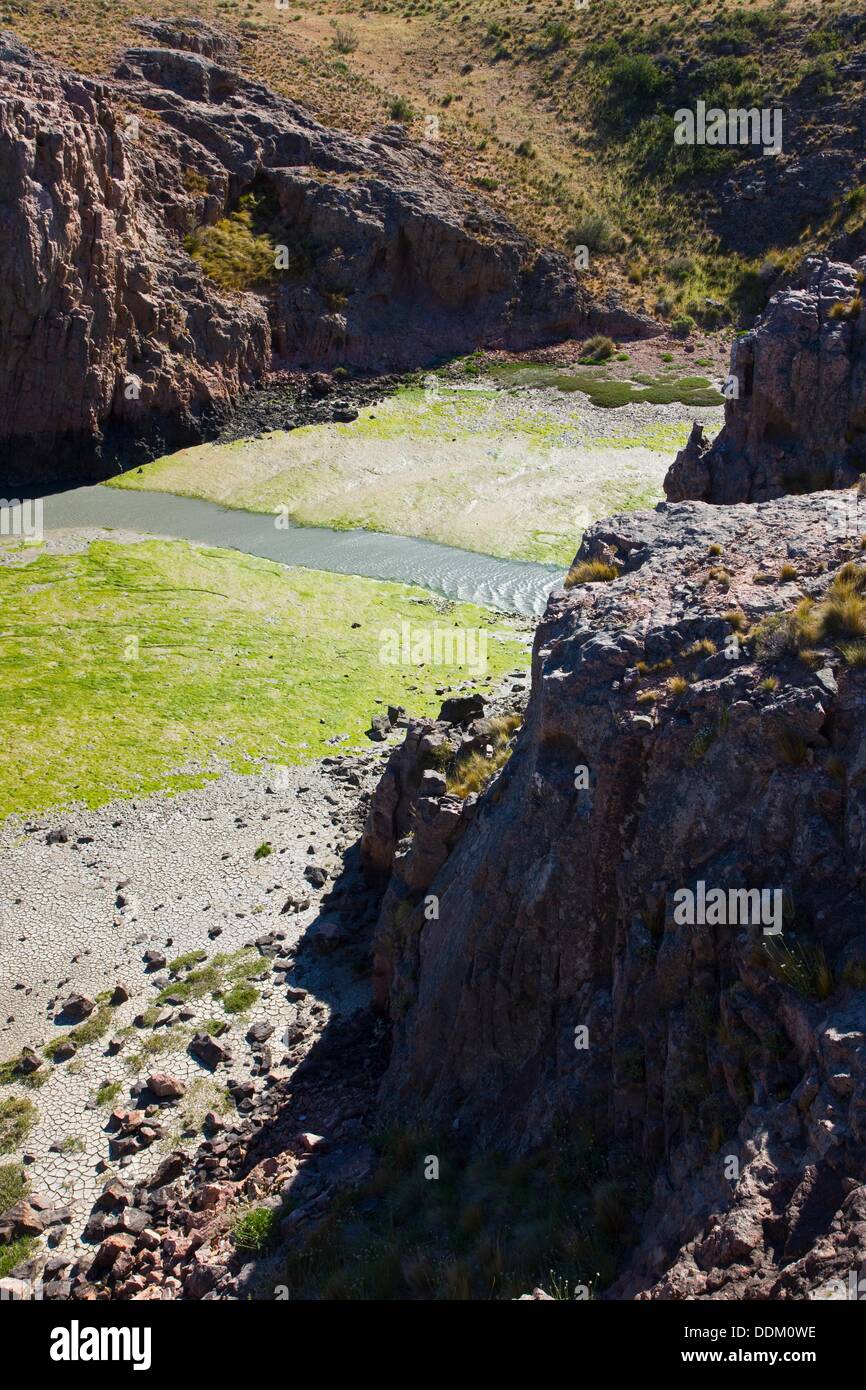 Ria Deseado Provincial Nature Preserve, Puerto Deseado, Patagonia