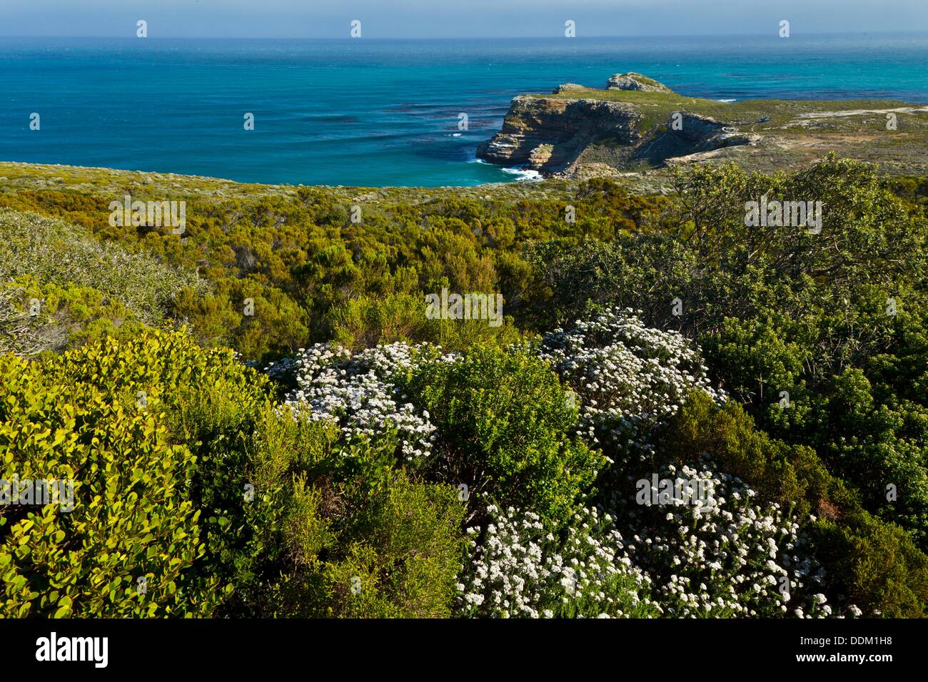 Cape Point, False Bay, South Africa Stock Photo Alamy