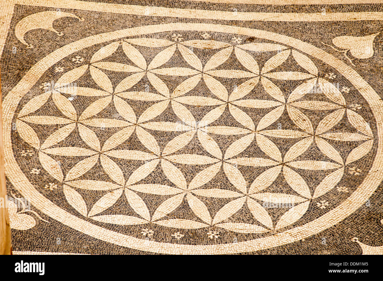 Patterned mosaic on the floor of one of the terrace houses, Ephesus, Turkey Stock Photo