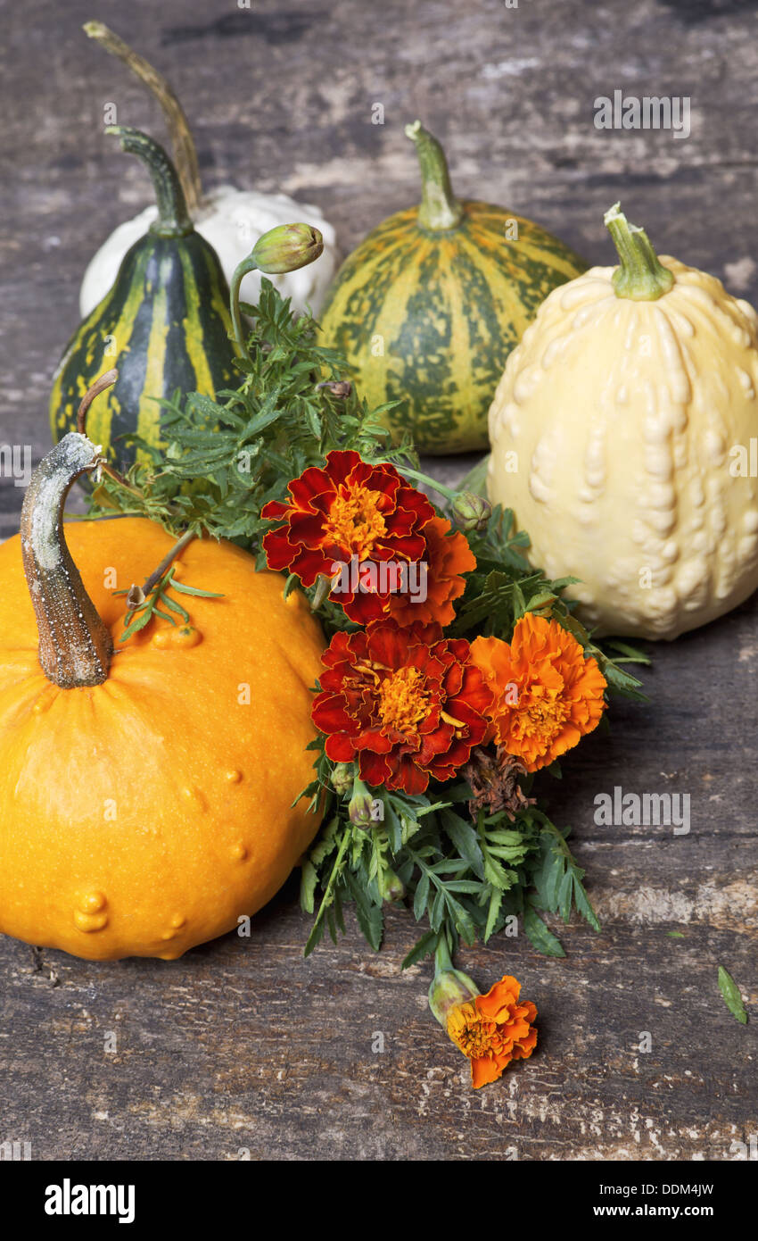 Autumn pumpkins and tagetes flowers on wooden board. Stock Photo