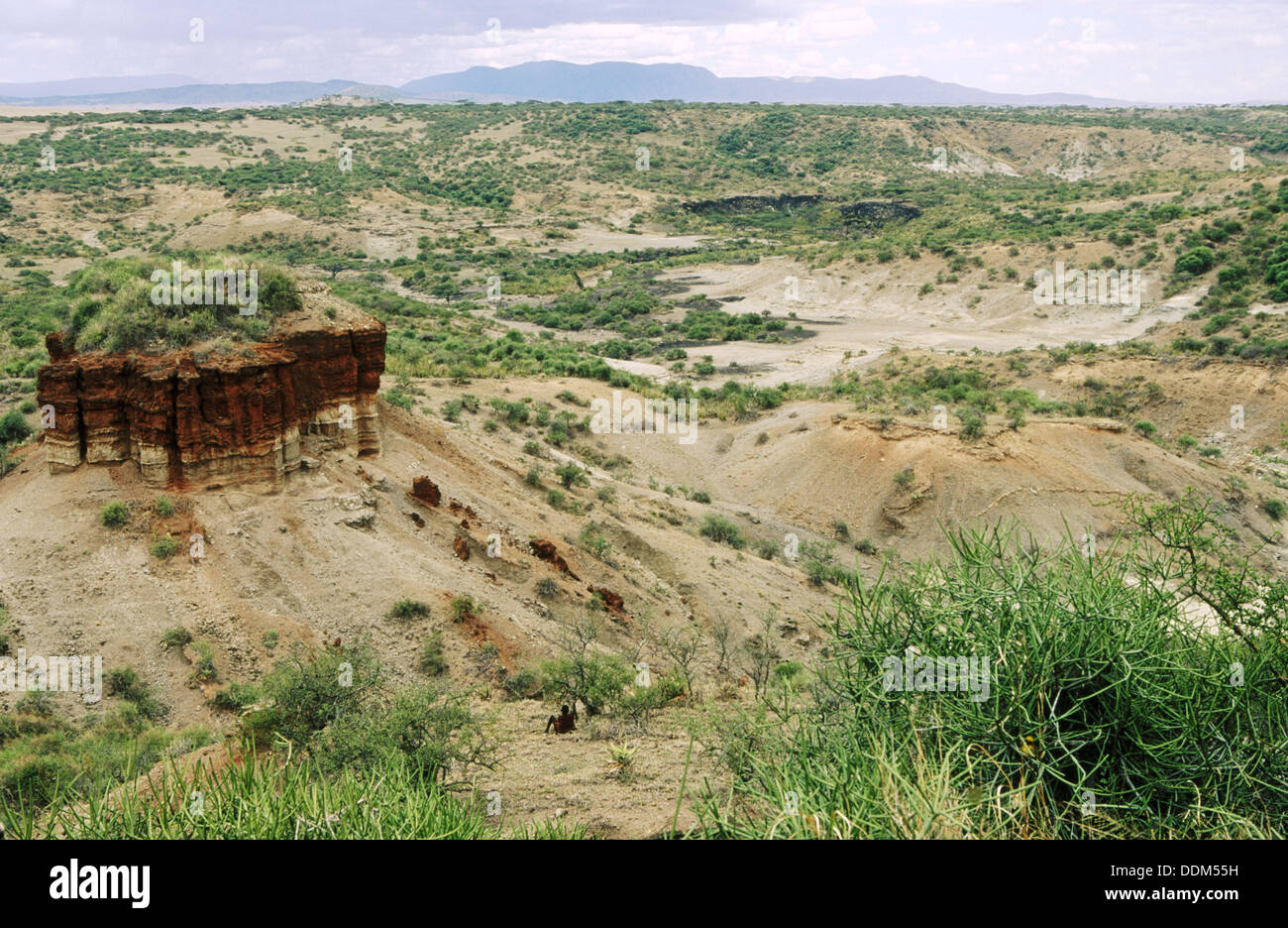 Aerial view olduvai gorge tanzania hi-res stock photography and images ...
