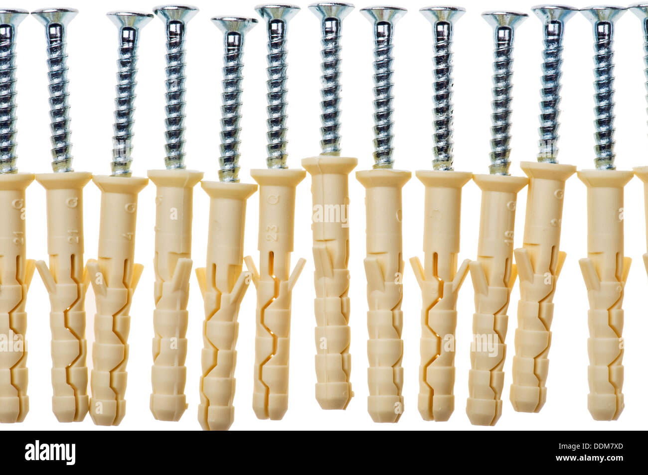 Tool screw with dowel isolated on white Stock Photo Alamy