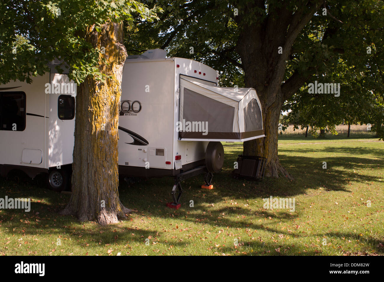 Camper tent trailer parked between two maple trees. Stock Photo