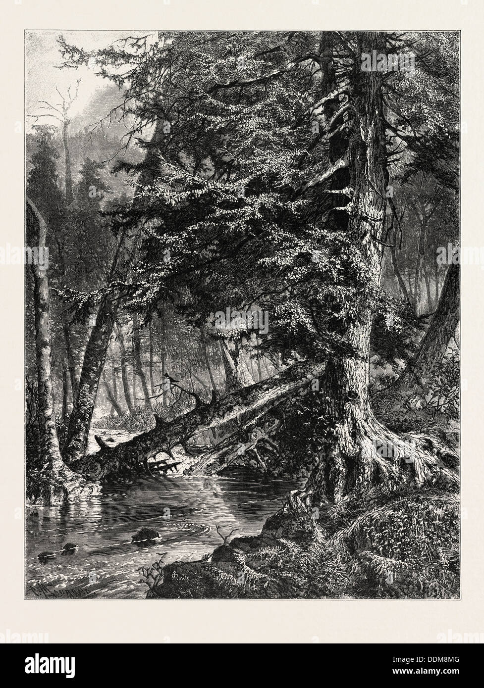 Victorian kettle hires stock photography and images Alamy