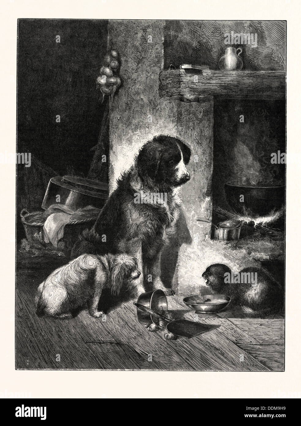 Peter moran hi-res stock photography and images - Alamy, image size:983x1390