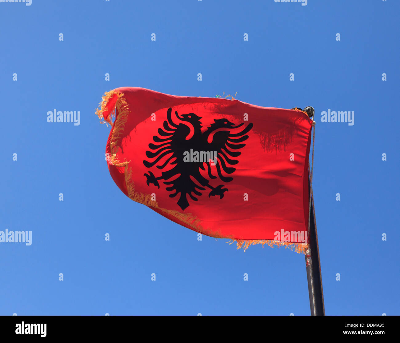 Albanian flag fluttering in the breeze against against a blue sky Stock Photo