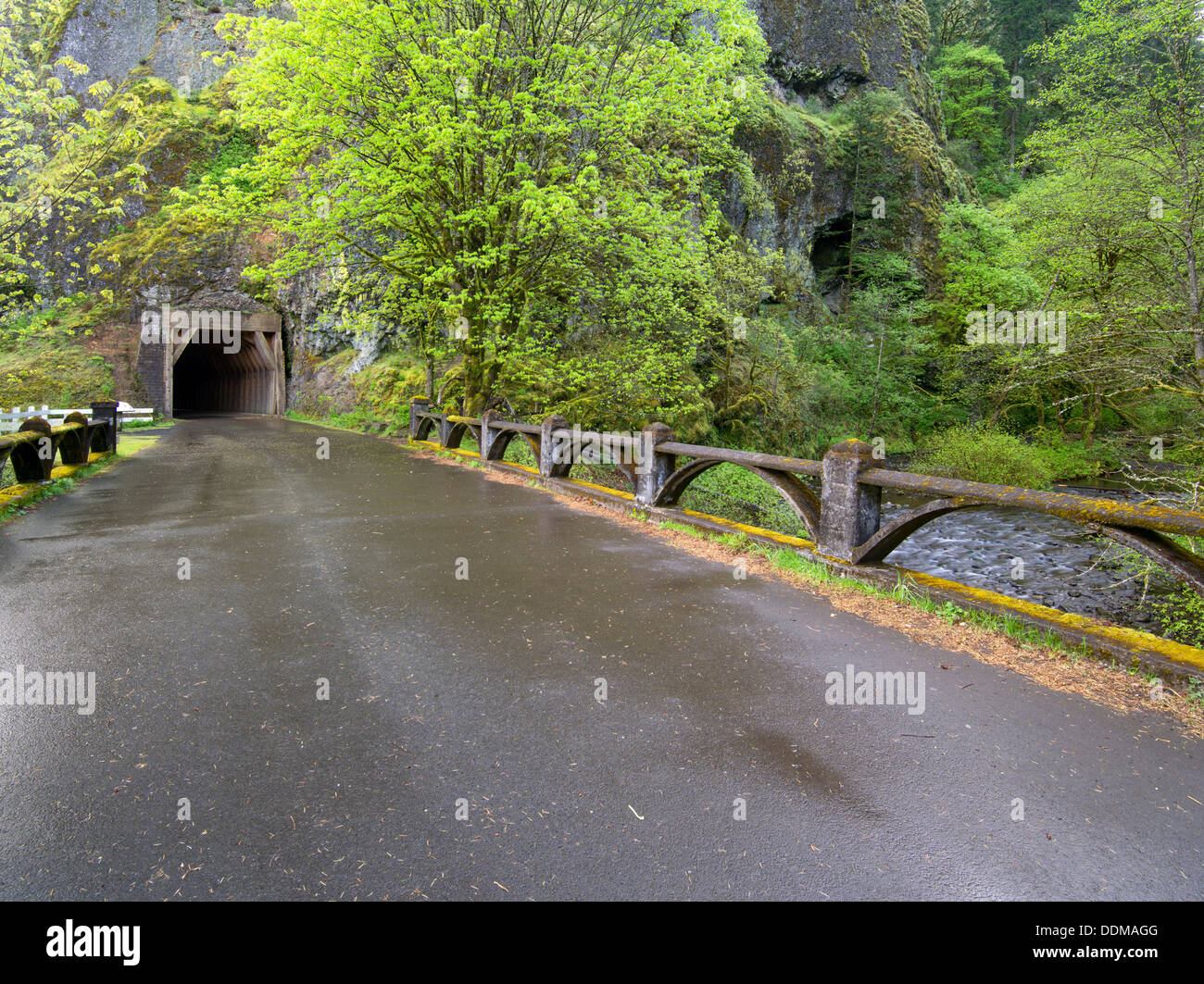 Old Columbia River Highway and tunnel. Columbia River Gorge National Scenic Area. Oregon Stock Photo