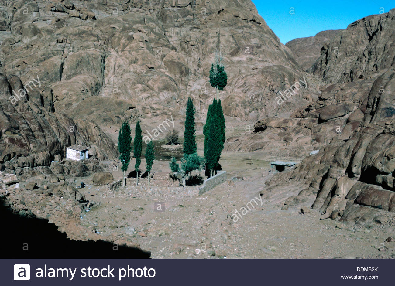 Burning Bush Sinai Stock Photos & Burning Bush Sinai Stock Images Alamy