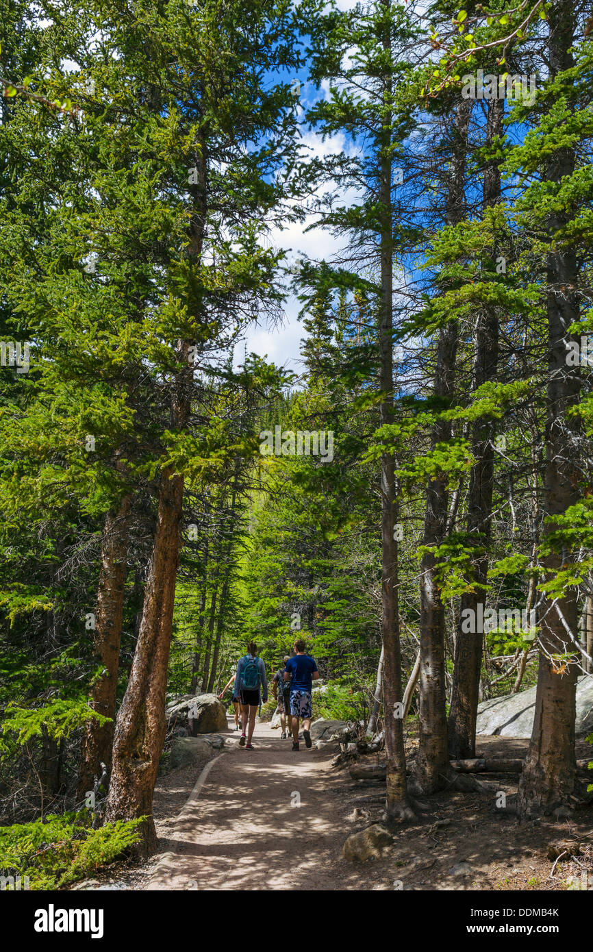 Family on the Bear Lake Trail in summer, Rocky Mountain National Park, Colorado, USA Stock Photo