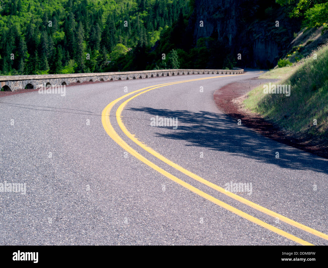 Road in Columbia River Gorge National Scenic Area, Oregon Stock Photo