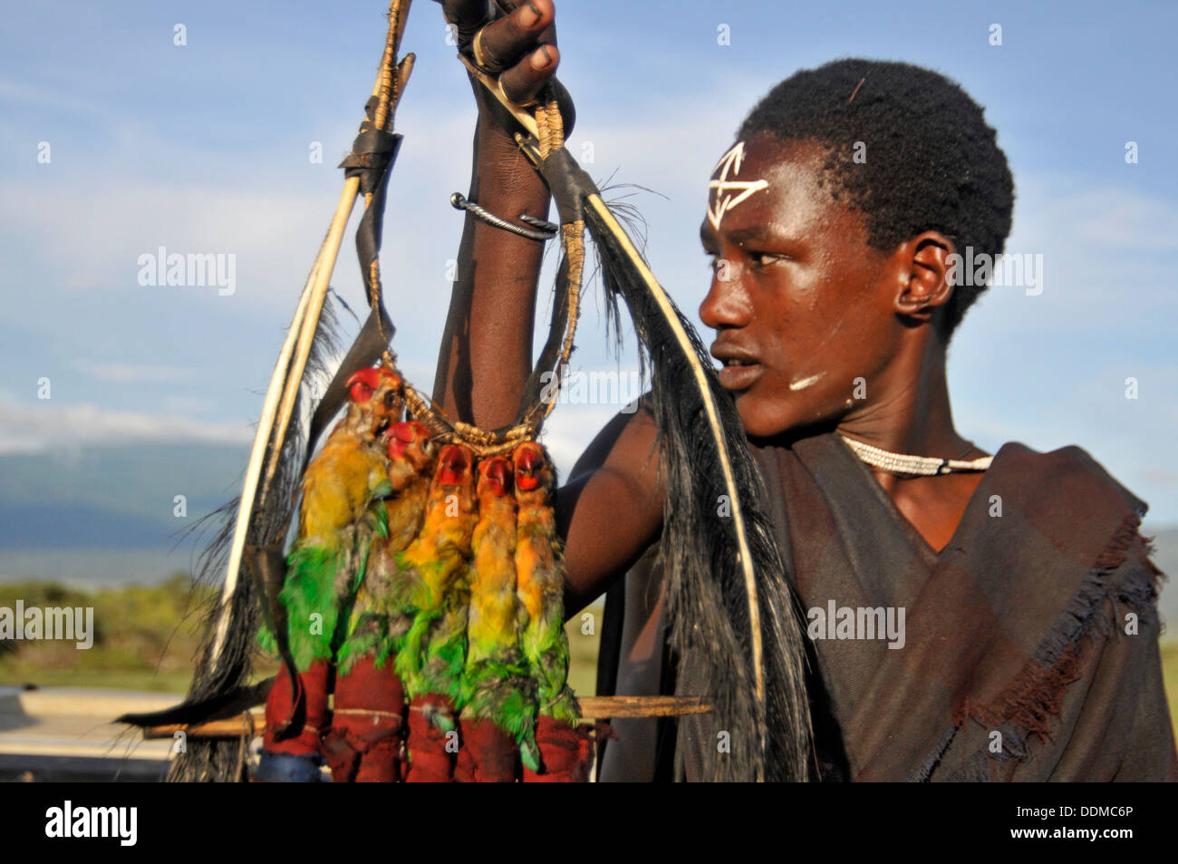 Maasai traditional white face paint and bird kill. Tanzania collectio Stock Photo