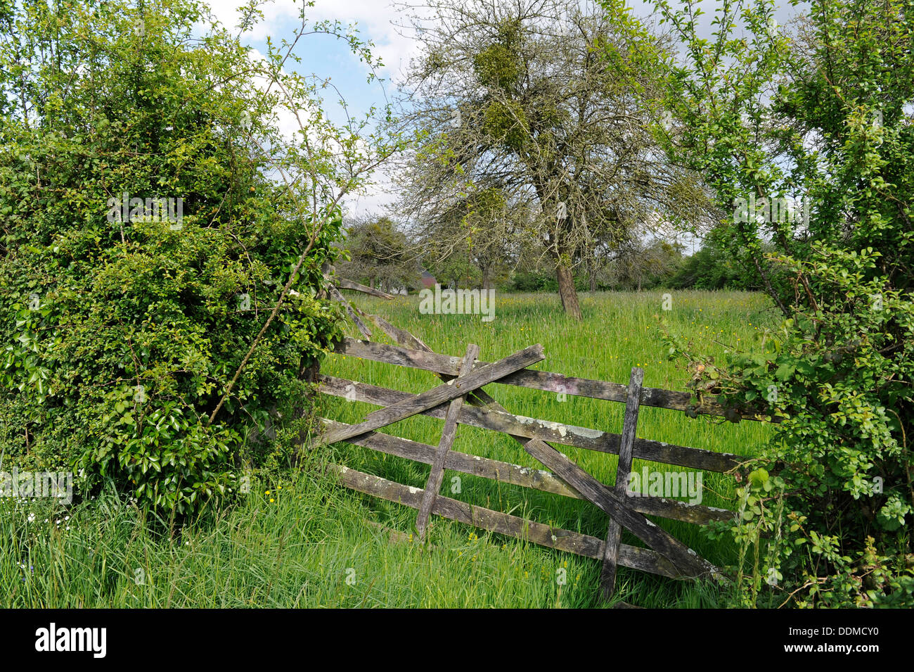Bocage normandy hi-res stock photography and images - Alamy