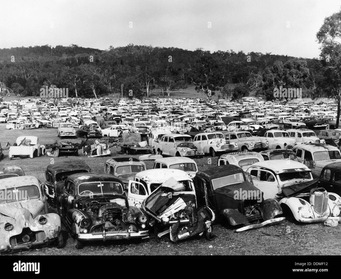 Old cars in a scrapyard, Cooma, New South Wales, Australia, 1973