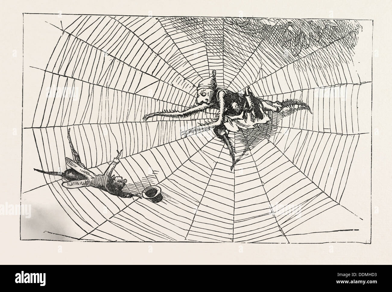 The spider and the fly 1994. The spider and the fly 1994. Spider and fly. Spider and fly nickelodeon. паук и муха.