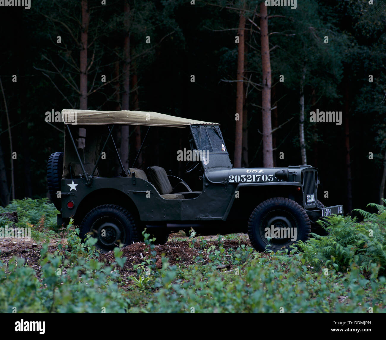 Willys jeep hi-res stock photography and images - Alamy