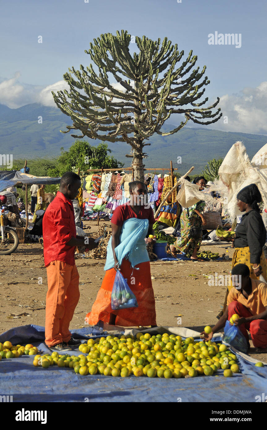 African market scenes, Candelabra tree Tanzania collection Stock Photo