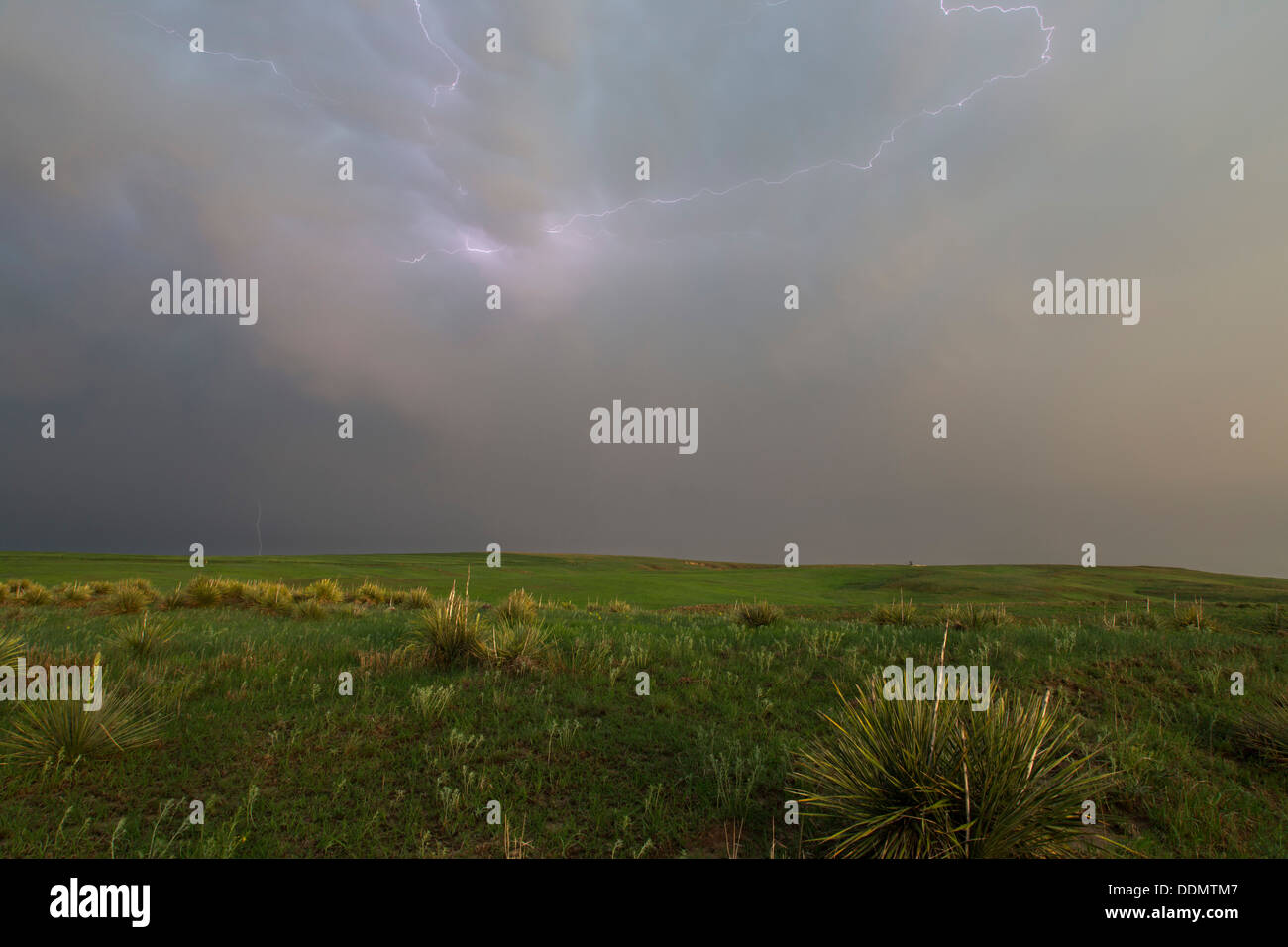 Lightning on Kansas Prairie Stock Photo
