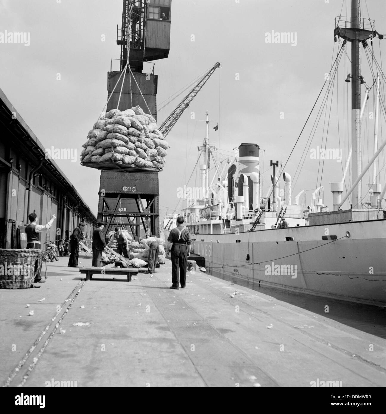 North Quay, West India Docks, London, c1945-c1965. Artist: SW Rawlings Stock Photo