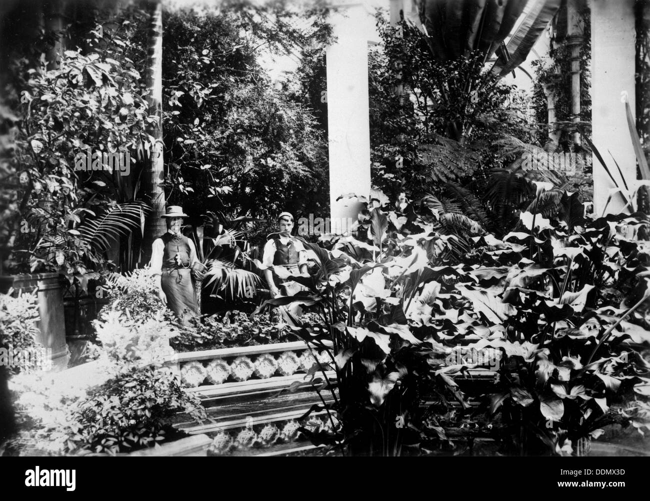 Gardeners in the Conservatory, Castle Ashby, Northamptonshire, 1889. Artist: Unknown Stock Photo