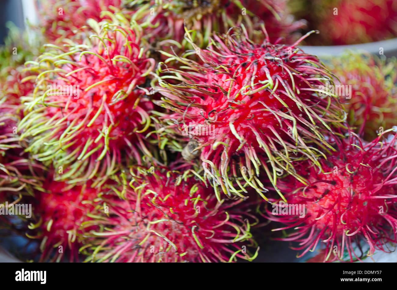 The Fresh Rambutan Thai Fruit Yummy Stock Photo