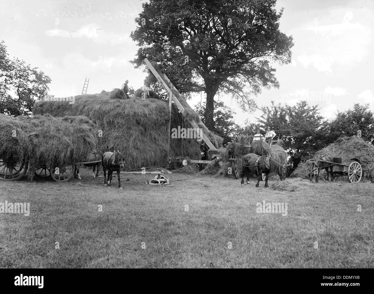 Men piling hay using a horse powered elevator, Stanford in the Vale, Oxfordshire, c1860-c1922. Artist: Henry Taunt Stock Photo